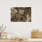 Poster Hoopoe Femme Sur Le Tronc (Cuisine)