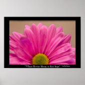 Poster Hope Blooms rose Gerber Daisy (Devant)