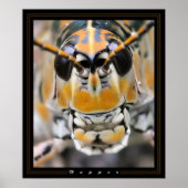 Poster Hopper (Devant)