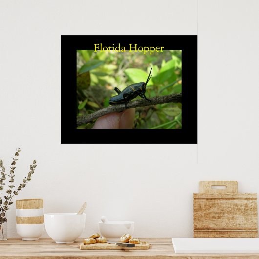 Poster Hopper FL (Cuisine)
