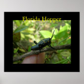 Poster Hopper FL (Devant)