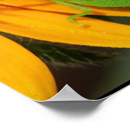 Poster Hopper vert (Coin)