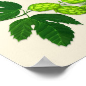 Poster Hops Plante Bière brassage Imprimer avec (Coin)