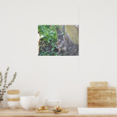 Poster Horatio the Squirrel Print (Cuisine)