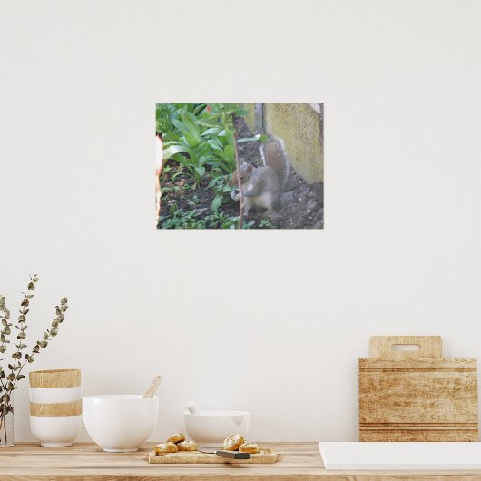 Poster Horatio the Squirrel Print (Cuisine)