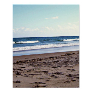 Poster Horizon du rivage tropical de Floride