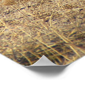 Poster Horizon Turquie (Coin)