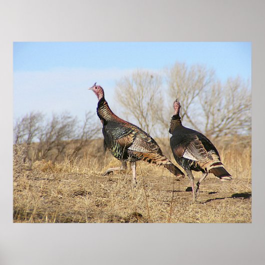 Poster Horizon Turquie (Devant)