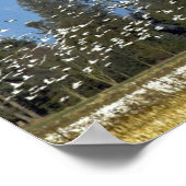 Poster horizontal : Mt. Baker avec Oie des neiges (Coin)