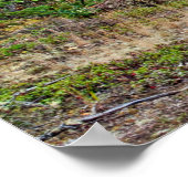 Poster horizontal sur le bord d'une route sèche (Coin)