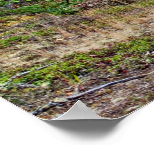 Poster horizontal sur le bord d'une route sèche (Coin)