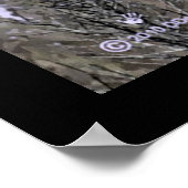 Poster Horloge des ravens (Coin)