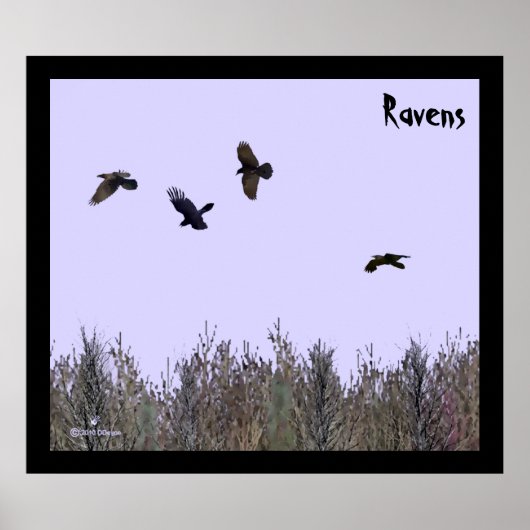 Poster Horloge des ravens (Devant)