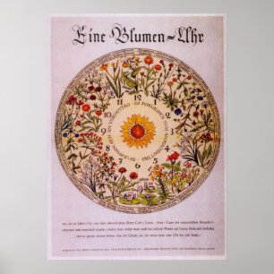 Poster Horloge   Poster2 de fleur de Blumenuhr
