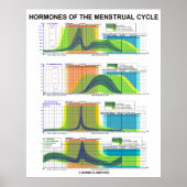 Poster Hormones Du Cycle Menstruel Menstruation (Devant)