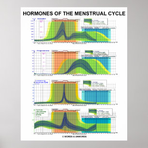 Poster Hormones Du Cycle Menstruel Menstruation