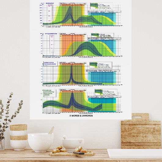 Poster Hormones Du Cycle Menstruel Menstruation (Cuisine)