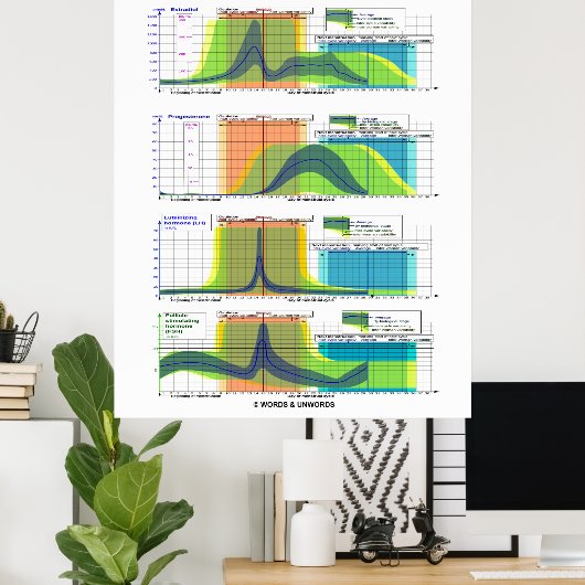 Poster Hormones Du Cycle Menstruel Menstruation (Bureau à domicile)