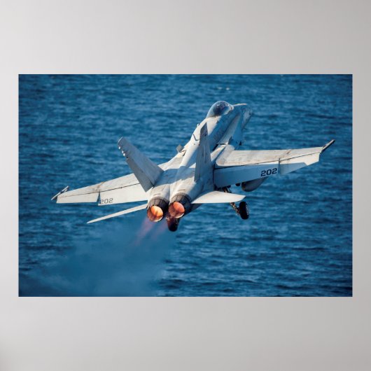 Poster Hornet F/A-18C (Devant)