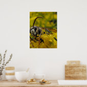 Poster Hornet face à l'écran (Cuisine)