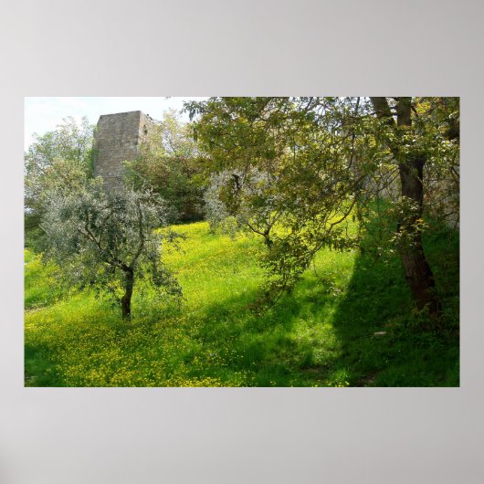 Poster Hors des murs de San Gimignano (Devant)