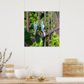 Poster hors ligne (Cuisine)