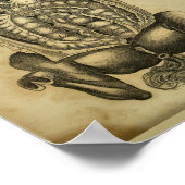 Poster Horse Anatomie interne Vintage Vétérinaire Imprime (Coin)