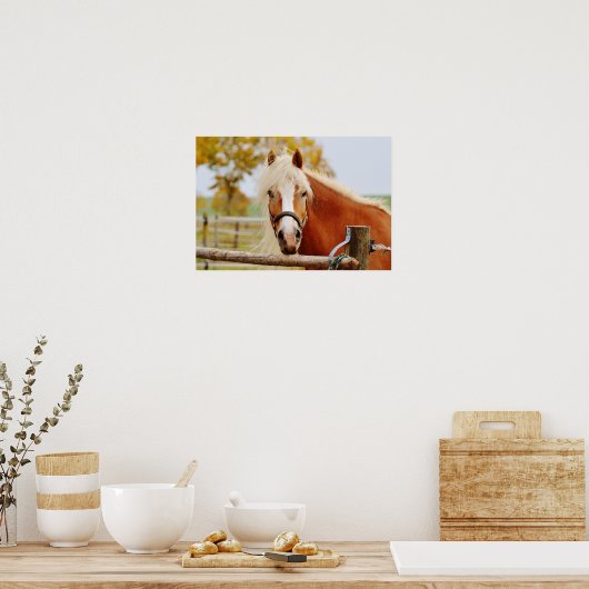 Poster Horse At Gate (Cuisine)