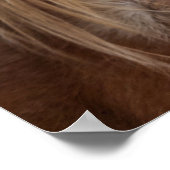 Poster Horse Bangs (Coin)