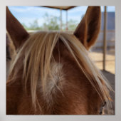 Poster Horse Bangs (Devant)