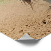 Poster Horse Clydesdale Agriculture Photo (Coin)