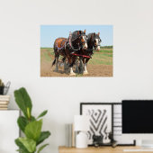 Poster Horse Clydesdale Agriculture Photo (Bureau à domicile)