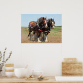 Poster Horse Clydesdale Agriculture Photo (Cuisine)