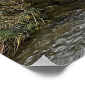 Poster Horse-Drawn Carriage on Stone Bridge (Coin)