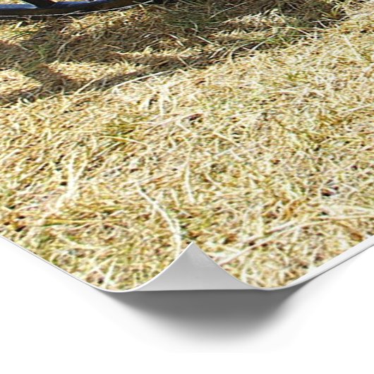 Poster Horse-drawn Doctor's buggy (Coin)