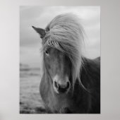 Poster Horse Moderne Agritourisme Cabine Western (Devant)