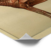 Poster Horse Muscle Anatomy Print (Coin)