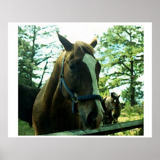 Poster Horse Portrait (Devant)