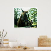 Poster Horse Portrait (Cuisine)