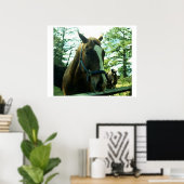 Poster Horse Portrait (Bureau à domicile)
