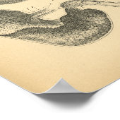 Poster Horse Poumons Anatomie de la poitrine 1908 Imprime (Coin)