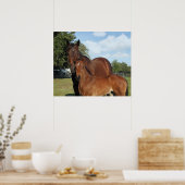Poster Horse Royale Imprimer -24x20 -cliquez pour agrandi (Cuisine)