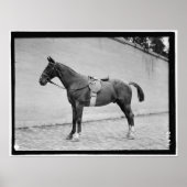 Poster Horse Show 1912 (Devant)
