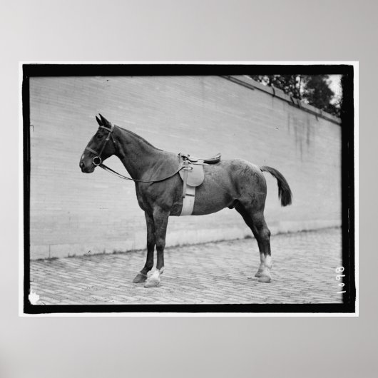 Poster Horse Show 1912 (Devant)