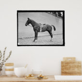 Poster Horse Show 1912 (Cuisine)