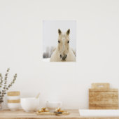 Poster Horse with snow on head (Cuisine)