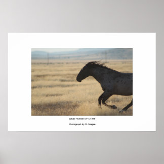 POSTER HORSE WLD DE LA PHOTOGRAPHIE UTAH