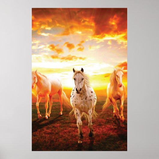 Poster Horses at sunset throw pillow (Devant)