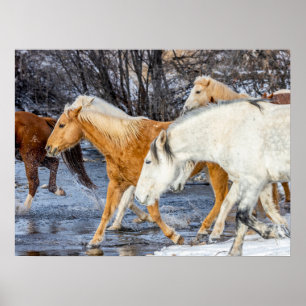 Poster Horses Crossing the Stream