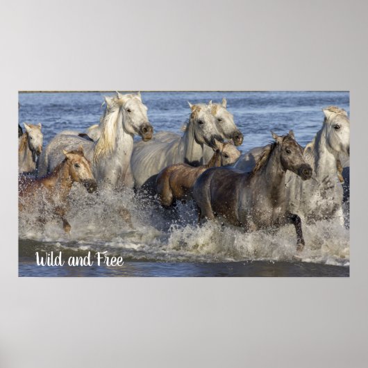 Poster Horses galloping in the water (Devant)